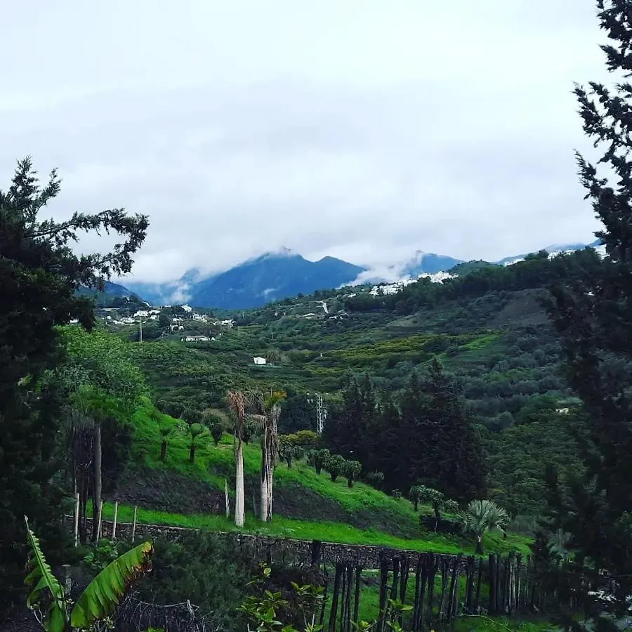 Antigua Finca De Ayo Y Karina Villa Frigiliana Holiday home